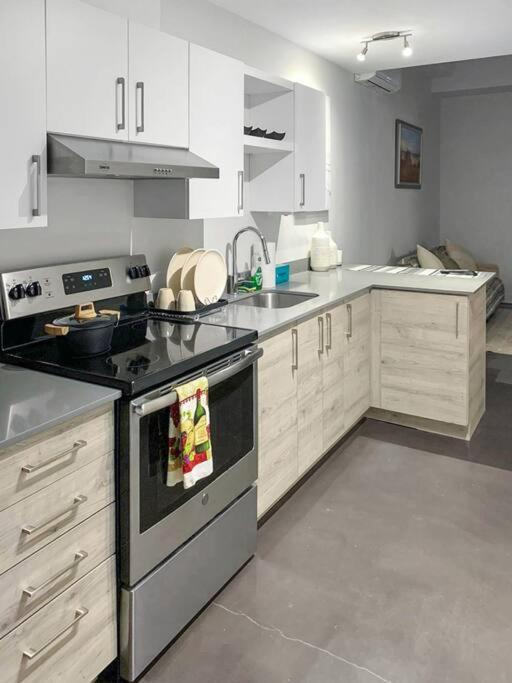 Photo of Kitchen in Downtown Montreal