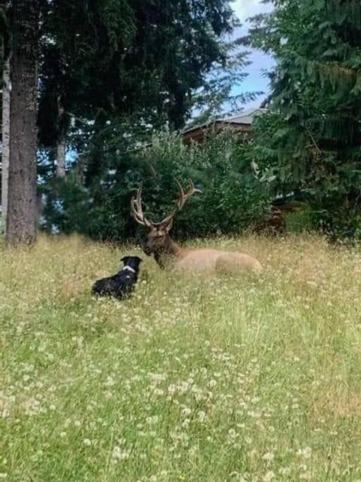 Photo of Others in Lake Cowichan