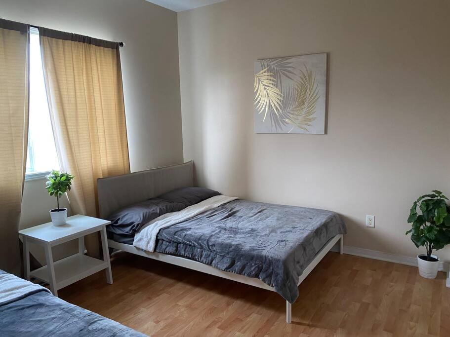 Photo of Bedroom in Plateau