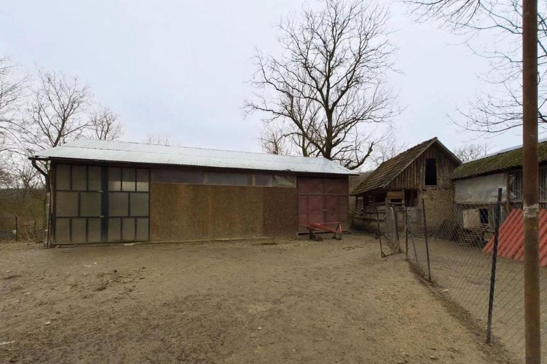Photo of Buildings in Fairview
