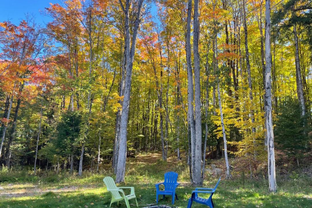 Photo of Outdoor in Haliburton