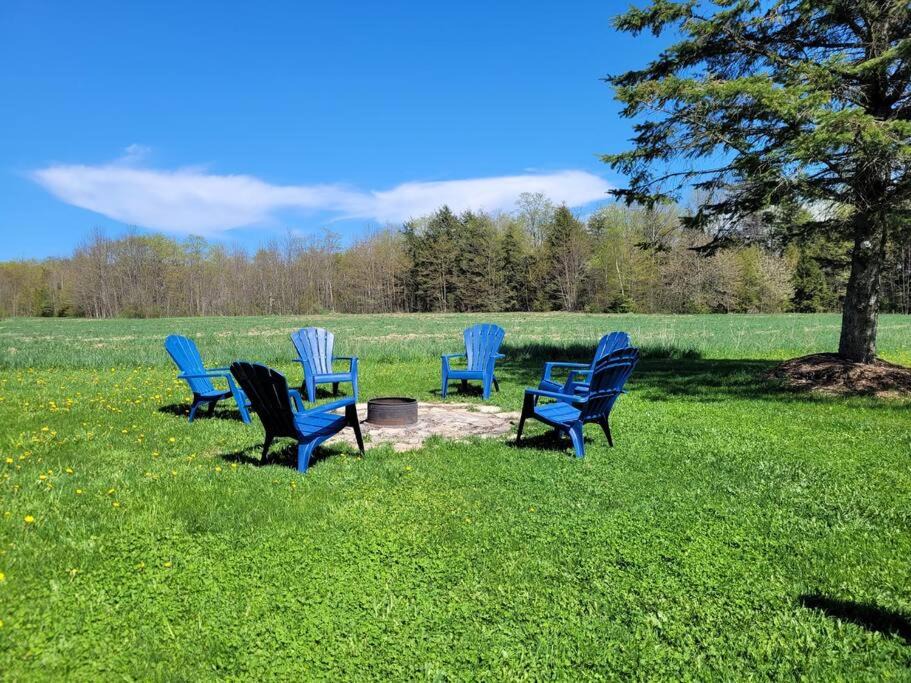 Photo of Outdoor in Lion's Head