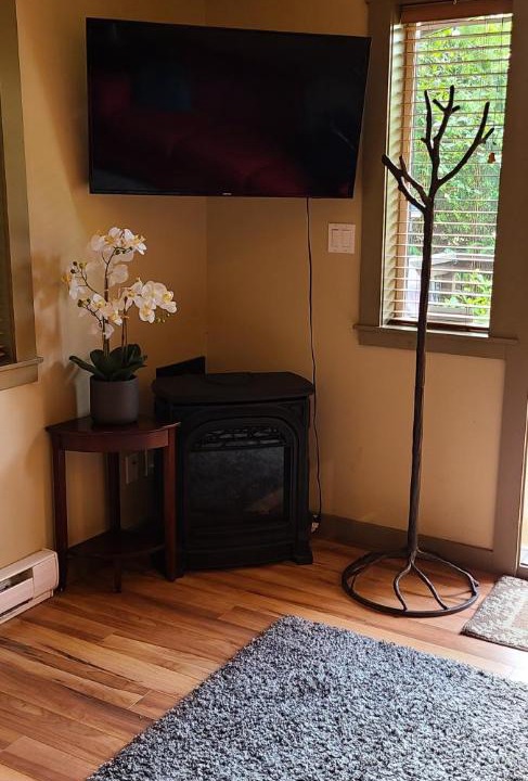Photo of Livingroom in Port Renfrew
