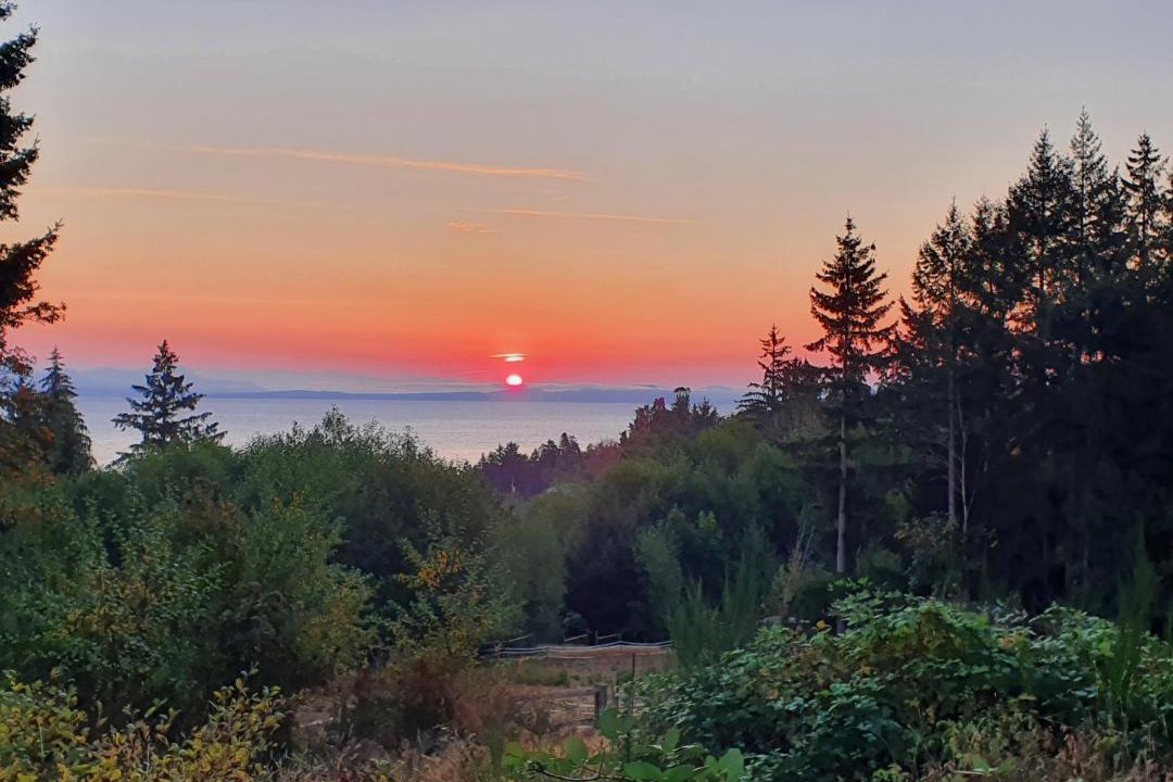 Photo of Outdoor in Courtenay