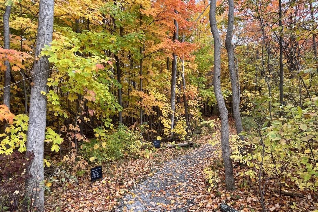 Photo of Outdoor in Innisfil