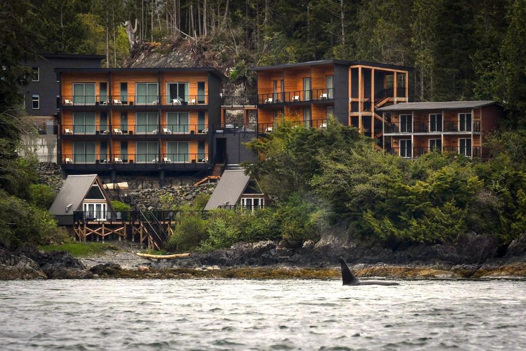 Photo of Others in Tofino