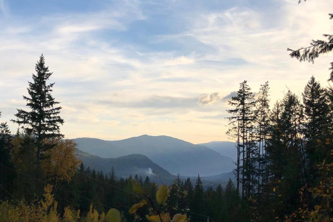Photo of Outdoor in Lemon Creek
