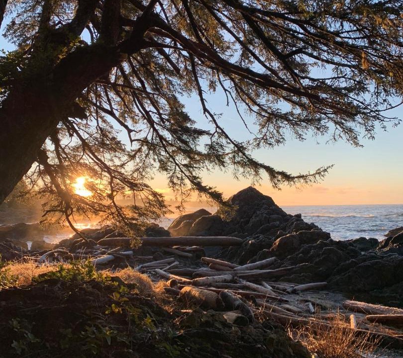 Photo of Others in Ucluelet