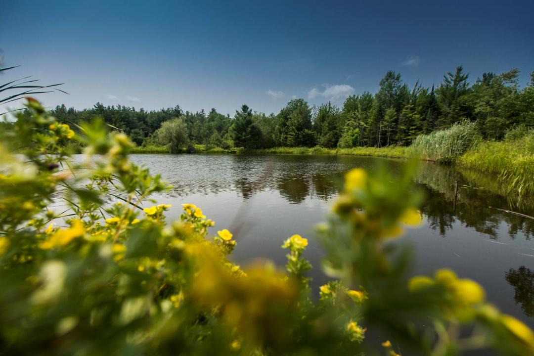 Photo of Others in Lac-Brome