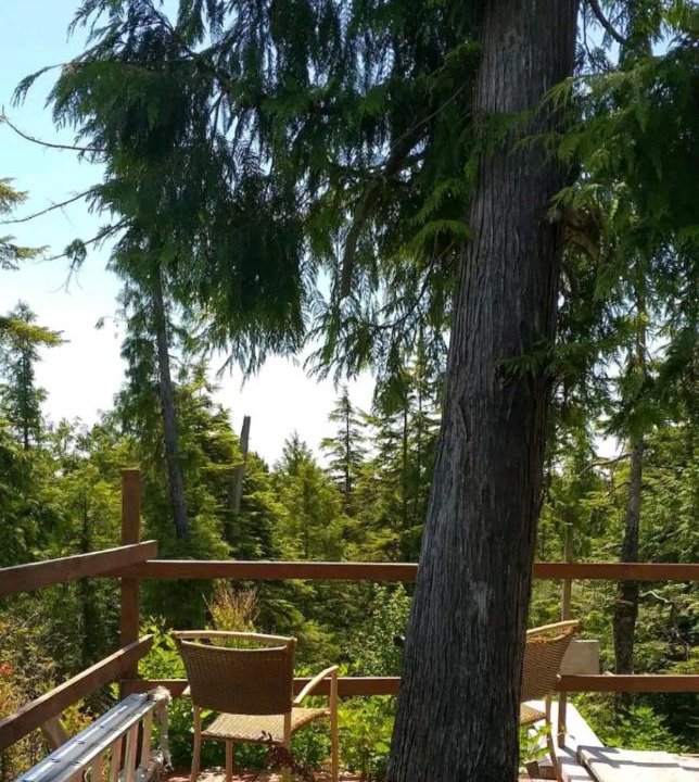 Photo of Others in Ucluelet