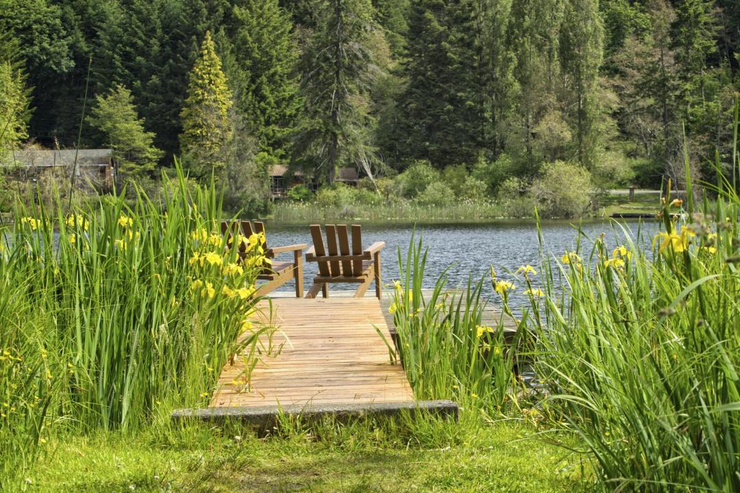 Photo of Others in Salt Spring Island