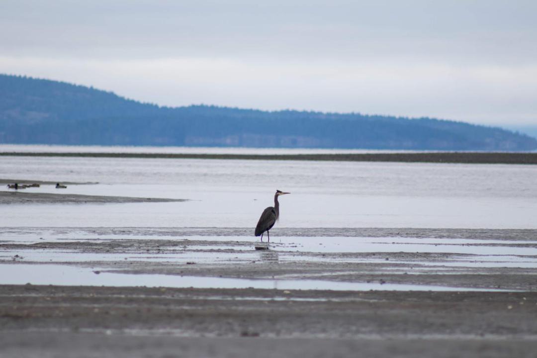 Photo of Outdoor in Regional District of Nanaimo