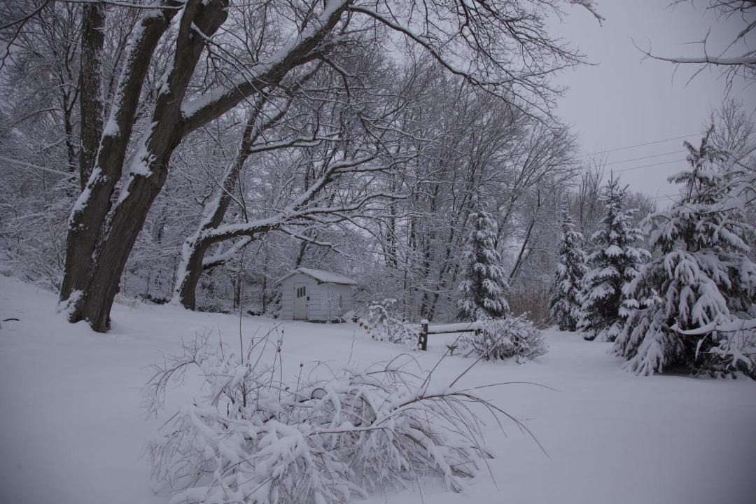 Photo of Others in Cowansville