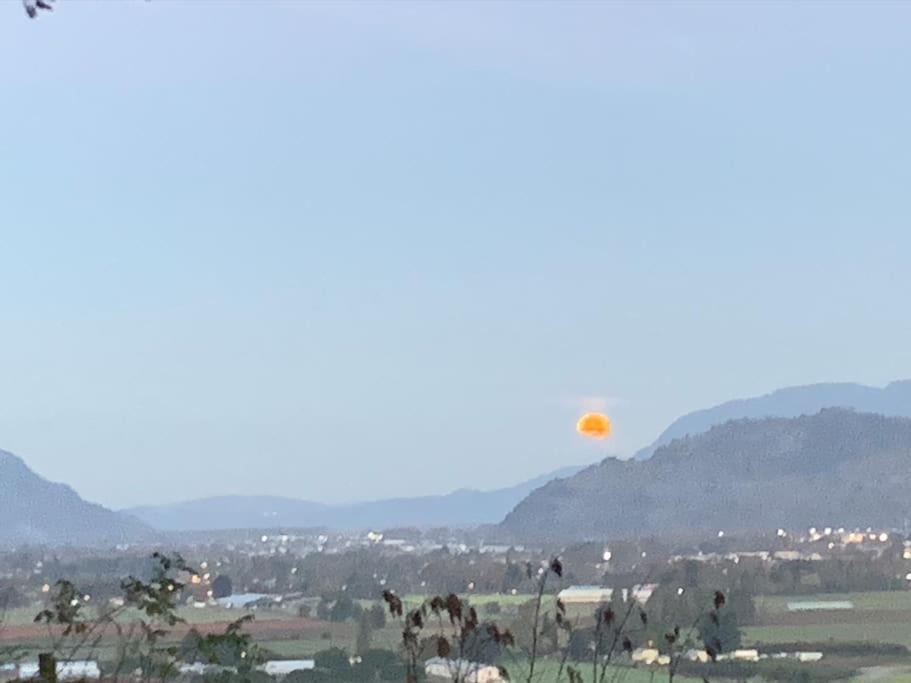 Photo of Outdoor in Sardis