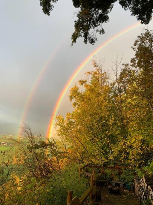 Photo of Outdoor in Sardis