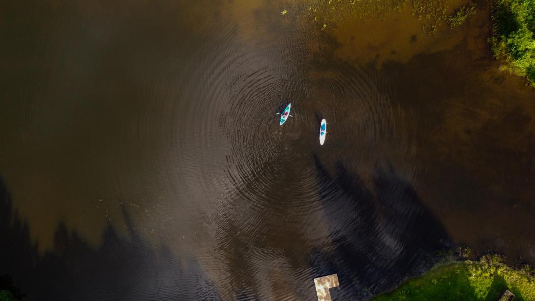 Photo of Others in Mandeville