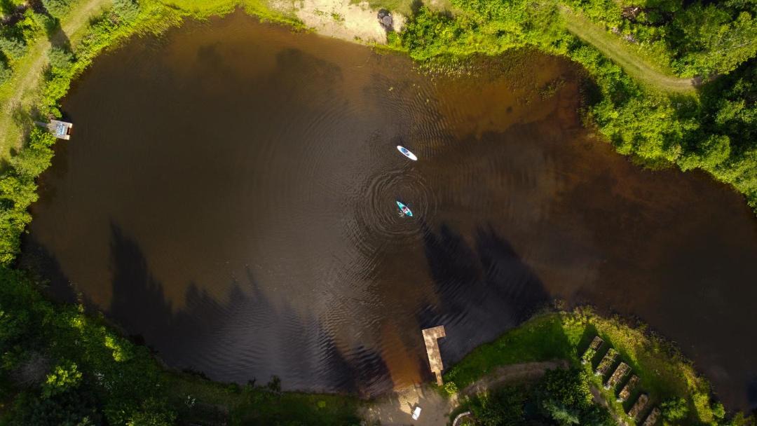 Photo of Others in Mandeville