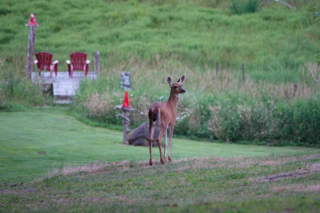 Photo of Others in Port Alberni