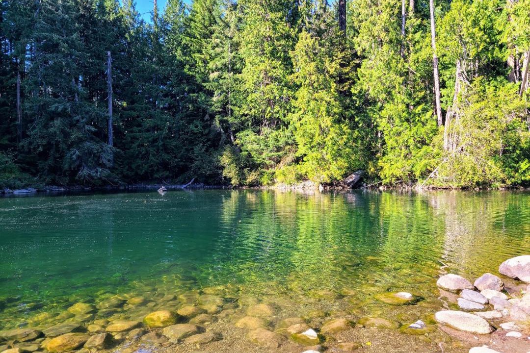 Photo of Outdoor in Yellow Point