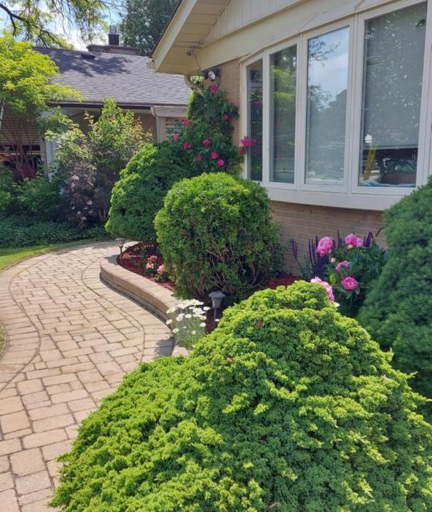 Photo of Others in Rexdale