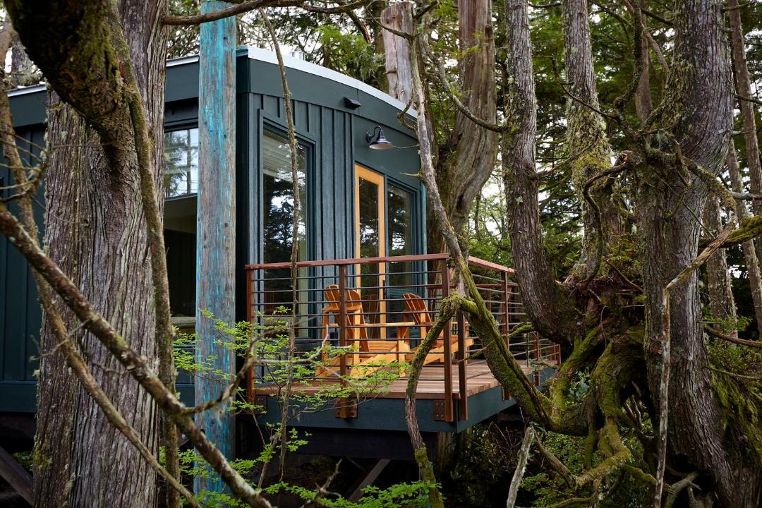 Photo of Others in Tofino