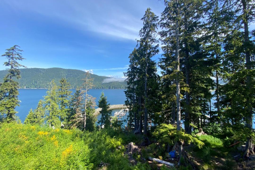 Photo of Outdoor in Port Renfrew