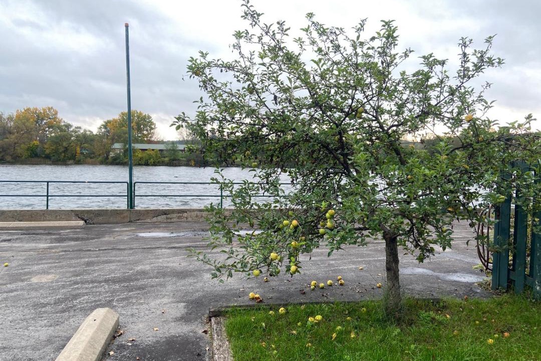 Photo of Outdoor in Frankford