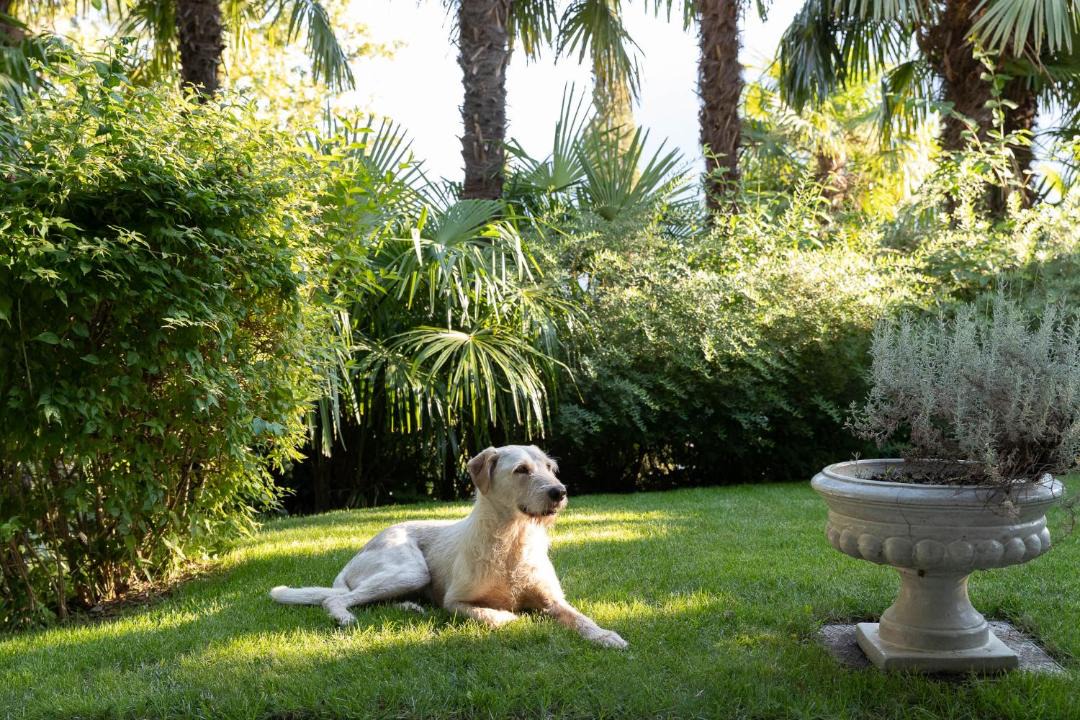 Photo of Others in Merano