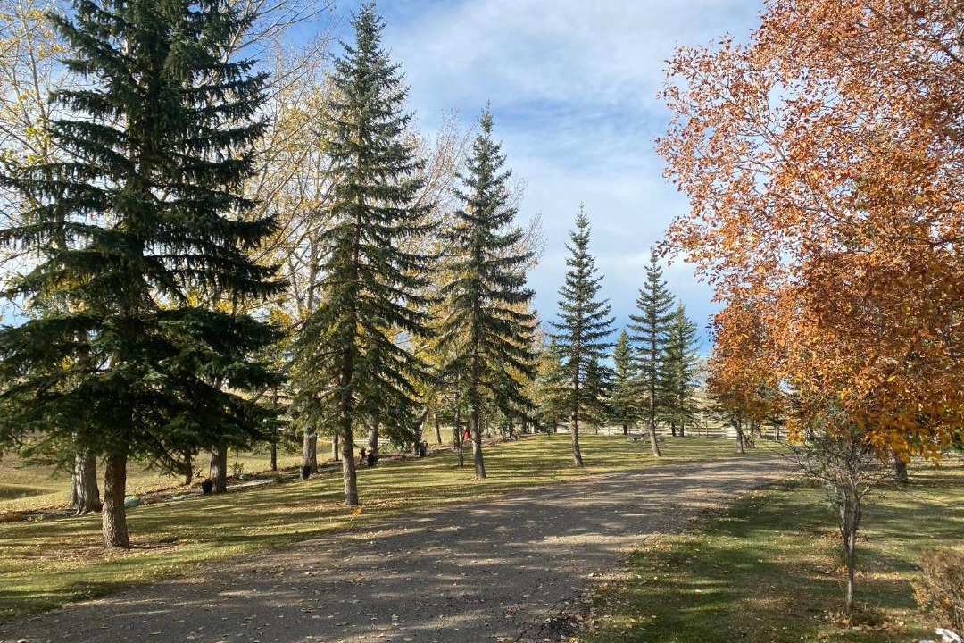 Photo of Others in Drumheller