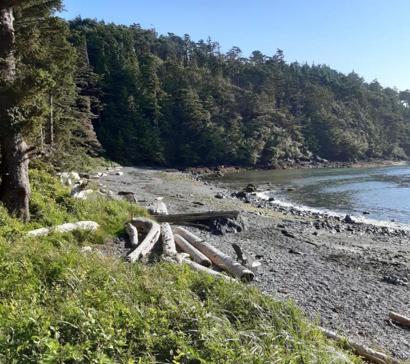 Photo of Others in Ucluelet