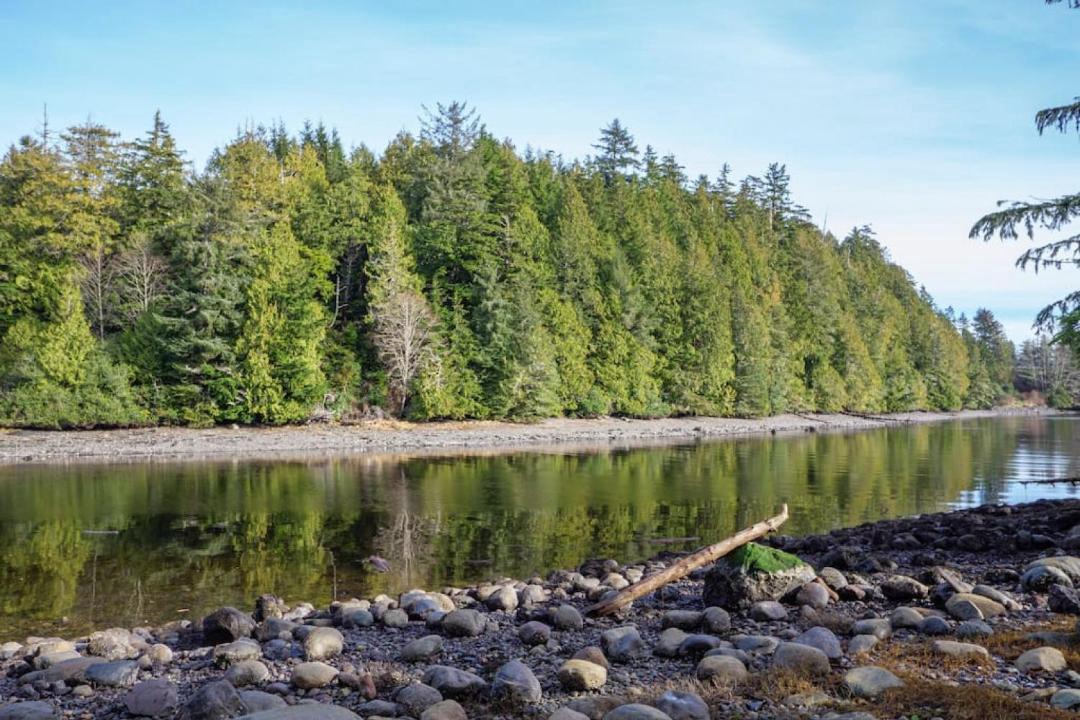 Photo of Others in Ucluelet