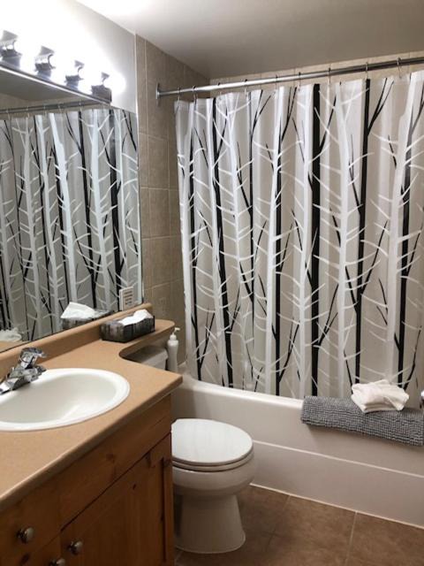 Photo of Bathroom in Silver Star Mountain
