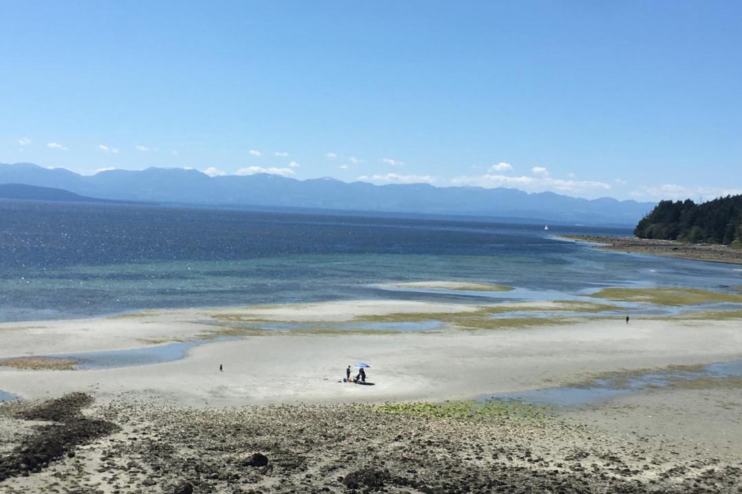 Photo of Others in Gillies Bay