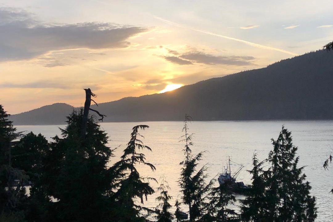 Photo of Others in Port Renfrew