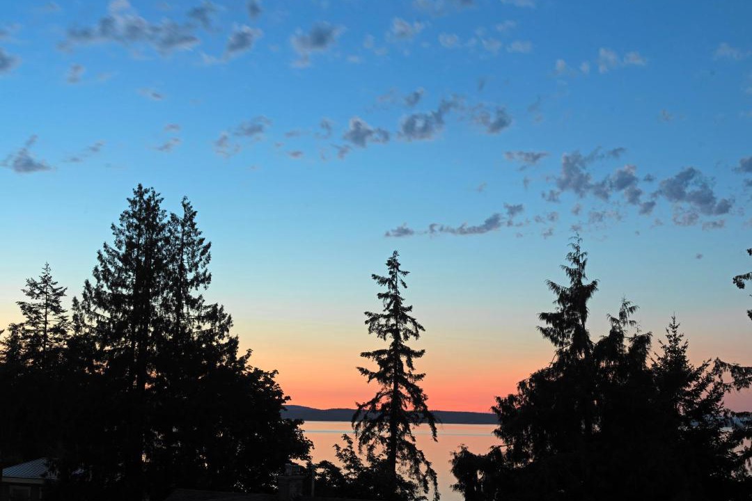 Photo of Others in Chemainus