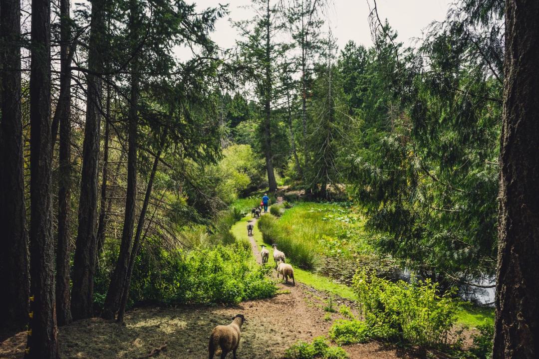 Photo of Others in Highlands