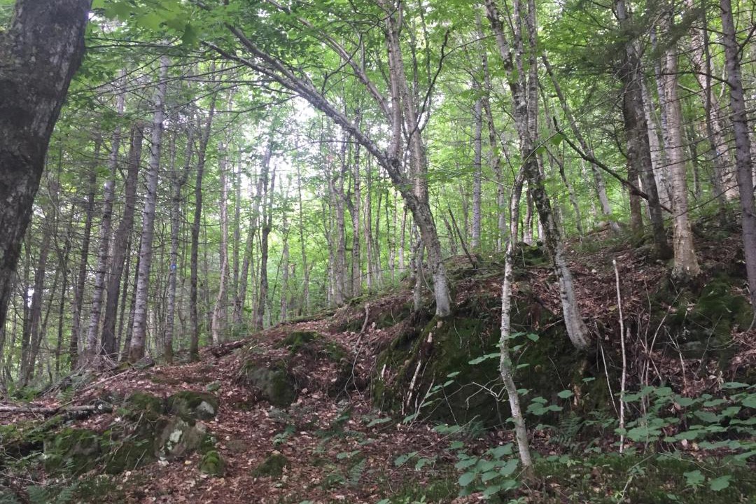 Photo of Outdoor in Val-des-Lacs