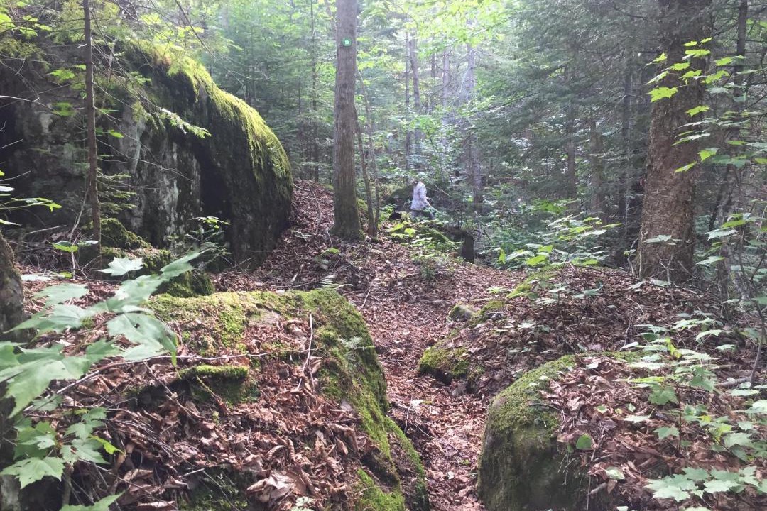 Photo of Others in Val-des-Lacs