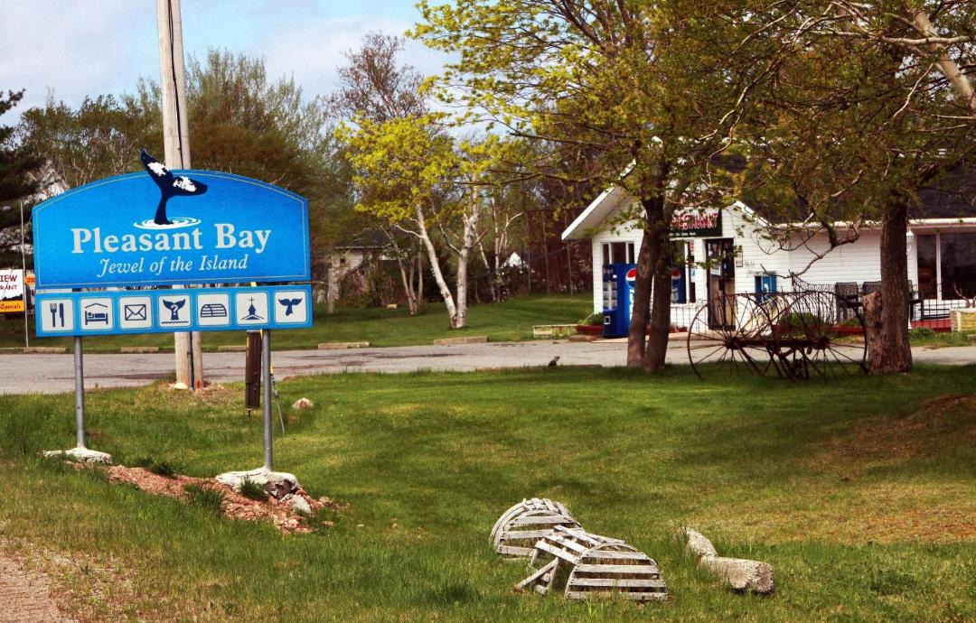 Photo of Others in Pleasant Bay