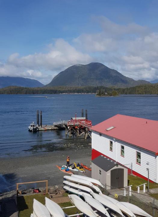 Photo of Others in Tofino