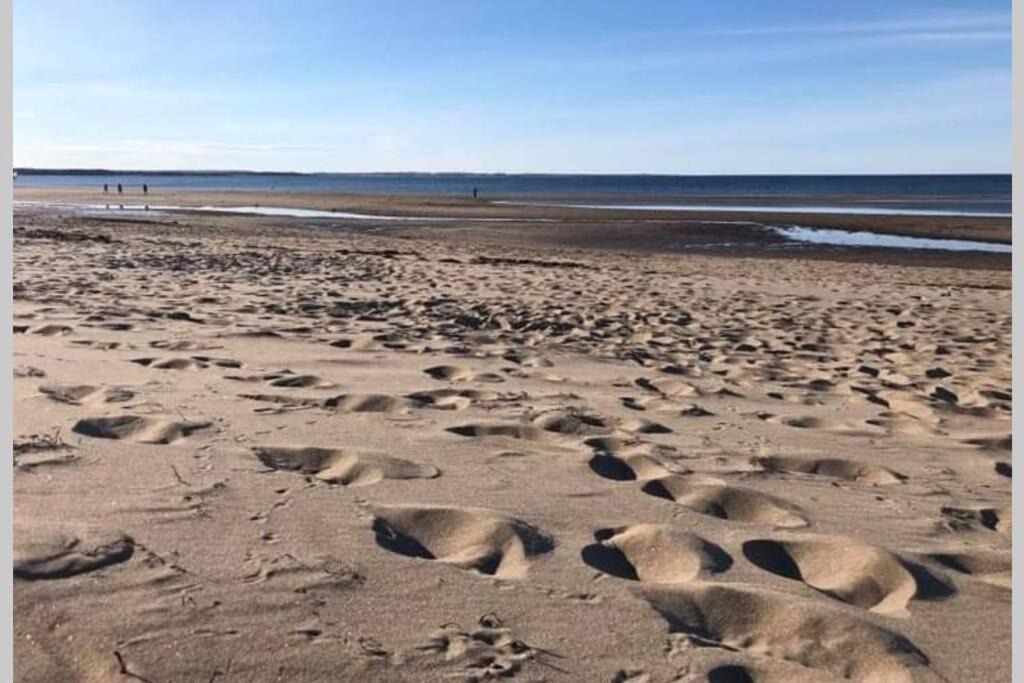 Photo of Others in Pointe-du-Chene