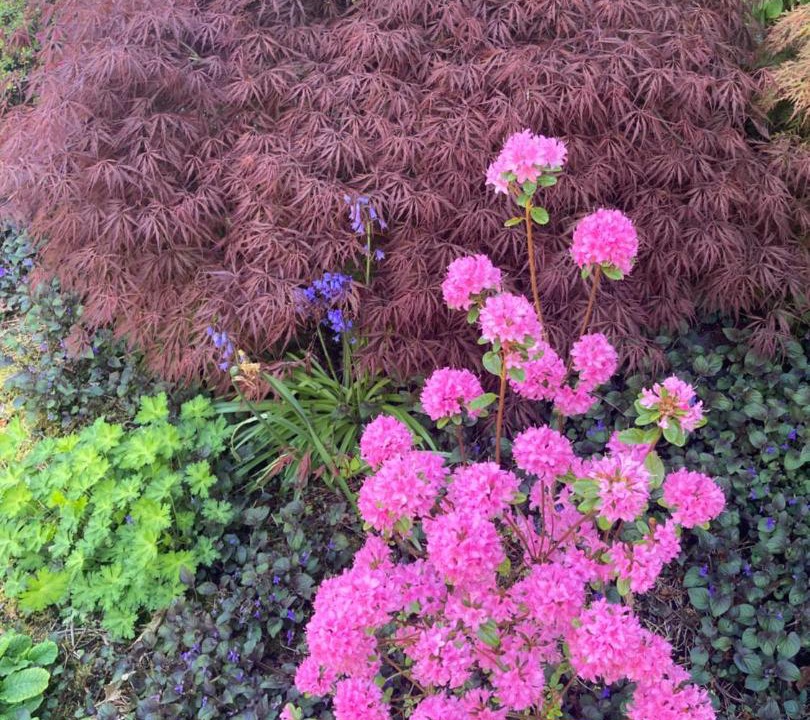 Photo of Outdoor in Comox
