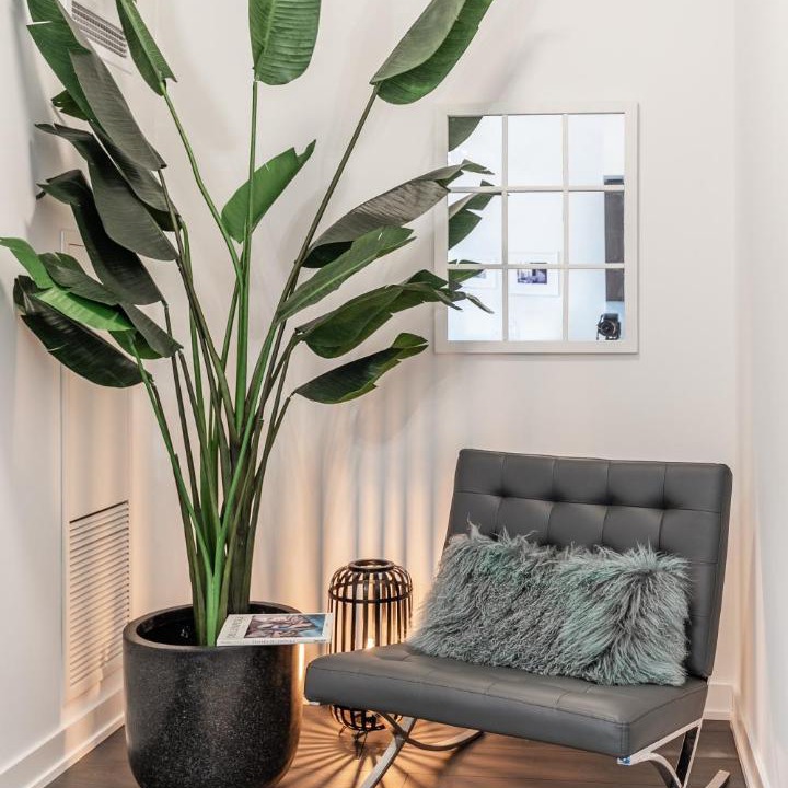 Photo of Livingroom in Wellington Place