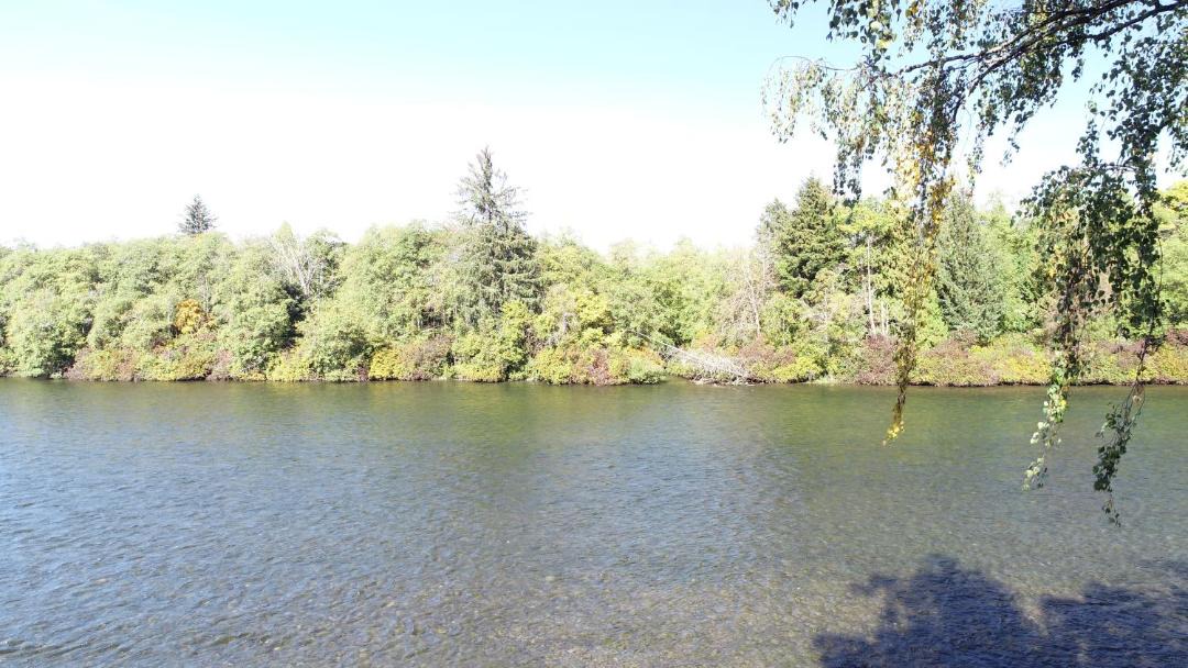Photo of Others in Campbell River