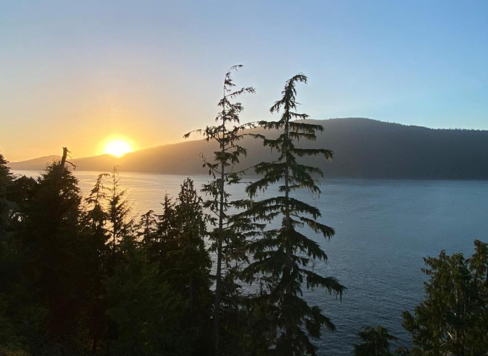 Photo of Others in Port Renfrew