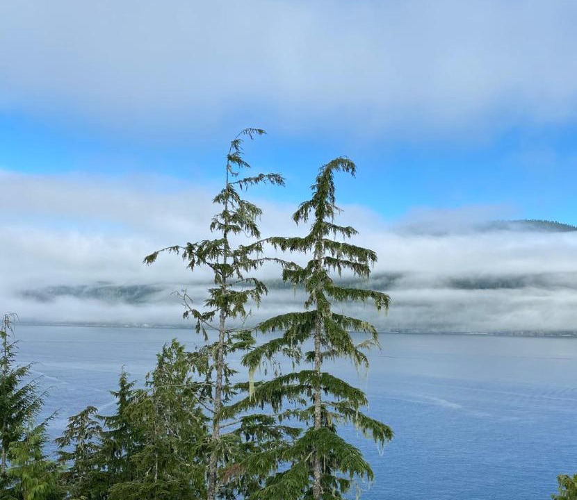 Photo of Others in Port Renfrew