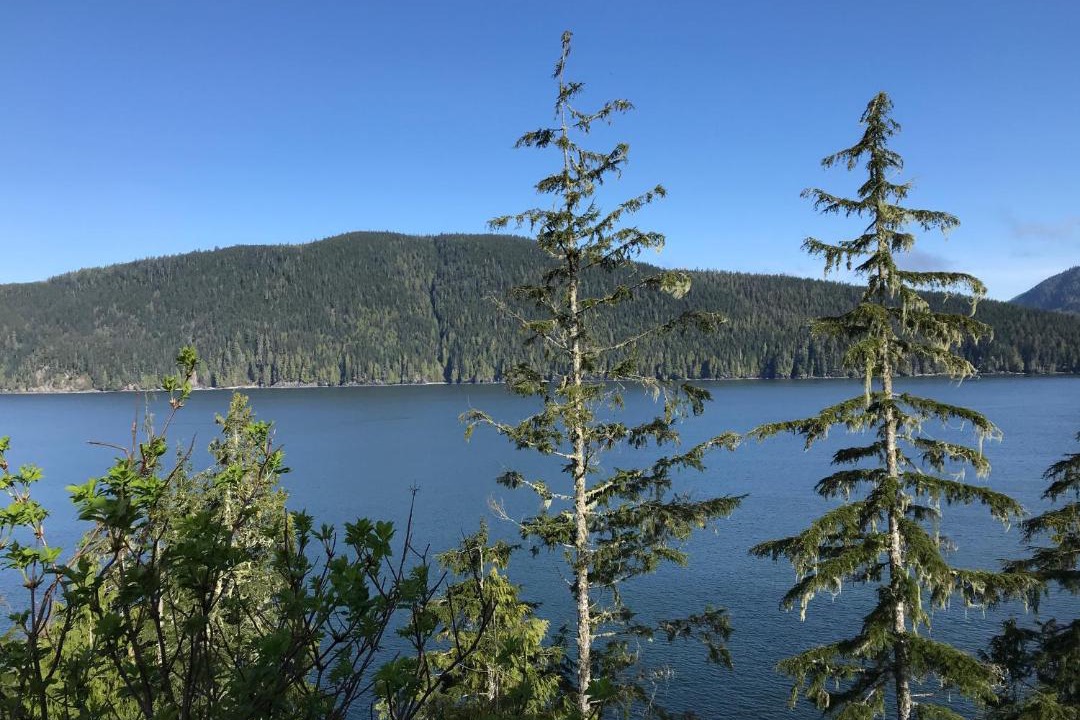 Photo of Others in Port Renfrew