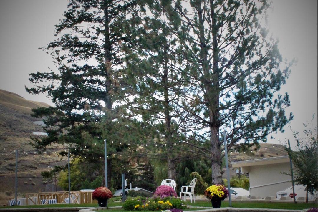 Photo of Others in Cache Creek