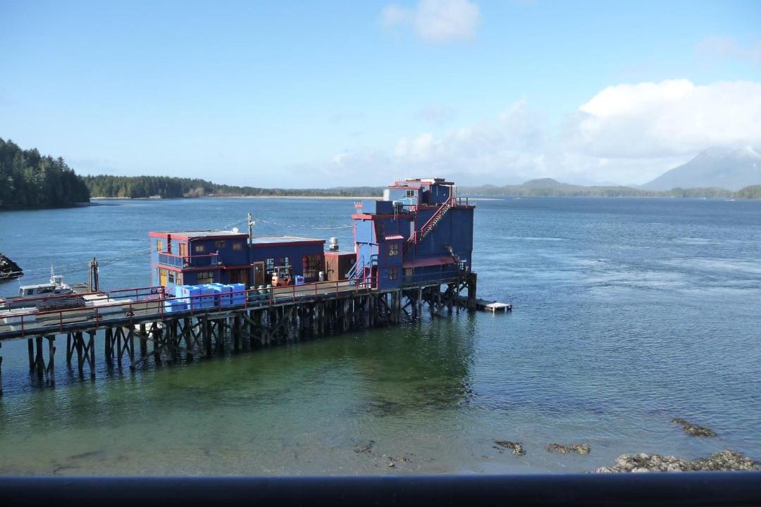Photo of Others in Tofino