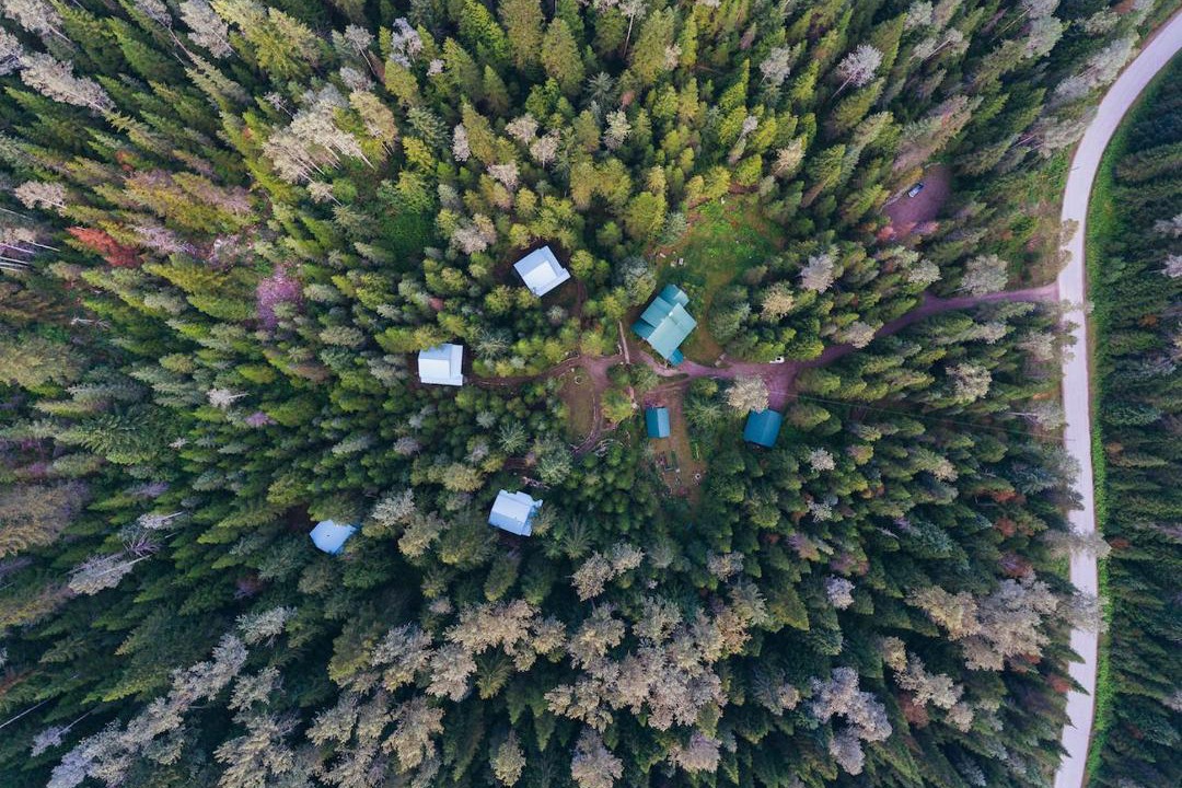 Photo of Outdoor in Ymir